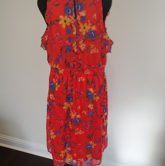 Spring Dress - Picture 2 of 2